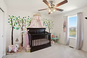 10322 Adler Cove, Saint John, IN 46373 - Photo 16