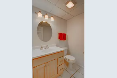 11437 W 93rd Avenue, Saint John, IN 46373 - Photo 40