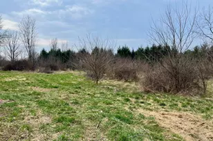 118 S 200 W, Valparaiso, IN 46385 - Photo 2