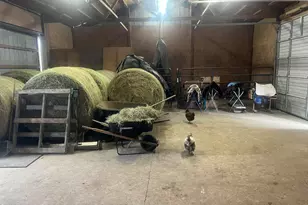 14296 Delaware, Crown Point, IN 46307 - Photo 48