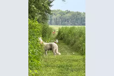 15752 W 400 N, Medaryville, IN 47957 - Photo 36