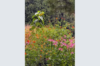 15752 W 400 N, Medaryville, IN 47957 - Photo 28