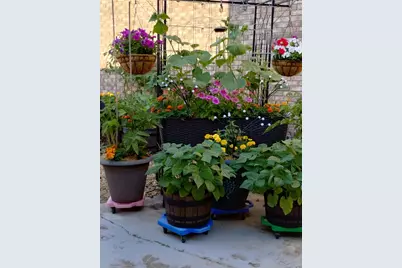 317 Azalea Drive, Hobart, IN 46342 - Photo 18