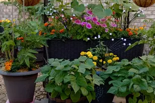 317 Azalea Dr, Hobart, IN 46342 - Photo 18