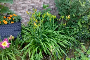 317 Azalea Dr, Hobart, IN 46342 - Photo 22