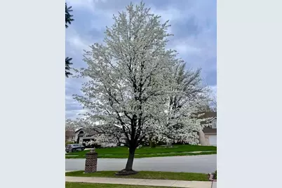 7412 Forest Ridge Drive, Schererville, IN 46375 - Photo 56