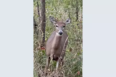 000 Grady Street, Chesterton, IN 46304 - Photo 10