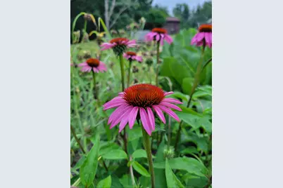 25 S Cherrywood Lane, Valparaiso, IN 46385 - Photo 58