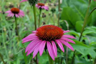 25 S Cherrywood Ln, Valparaiso, IN 46385 - Photo 58