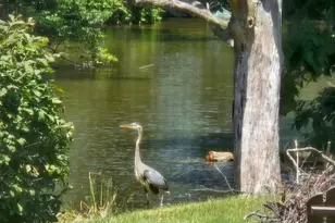 25 S Cherrywood Ln, Valparaiso, IN 46385 - Photo 54