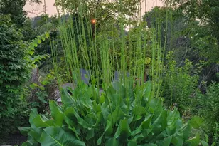 25 S Cherrywood Ln, Valparaiso, IN 46385 - Photo 56