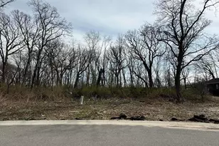 9539 112th St, Saint John, IN 46373 - Photo 1