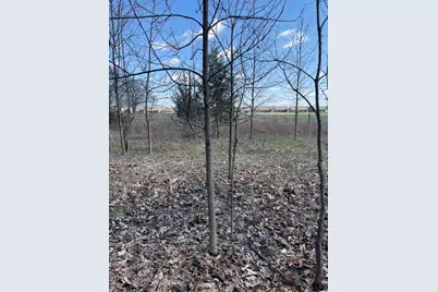 500 Wildwood Avenue E, Cedar Lake, IN 46303 - Photo 4