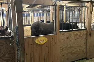 13226 S County Line Rd, Crown Point, IN 46307 - Photo 38