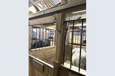 13226 S County Line Road, Crown Point, IN 46307 - Photo 42