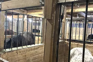 13226 S County Line Rd, Crown Point, IN 46307 - Photo 42