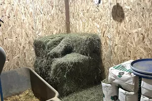 13226 S County Line Rd, Crown Point, IN 46307 - Photo 40