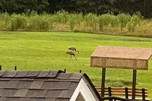 500 Countryshire Ct, Griffith, IN 46319 - Photo 26