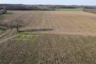 Approx 32 Acres N 850 E, New Carlisle, IN 46552 - Photo 4