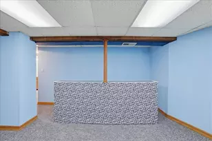 317 S East St, Crown Point, IN 46307 - Photo 26