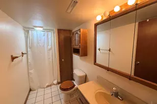 1619 W 95th Ave, Crown Point, IN 46307 - Photo 18