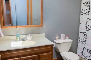 10216 New Hampshire St, Crown Point, IN 46307 - Photo 18