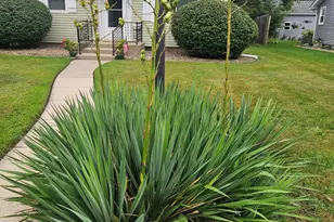 502 Wilshire Ave, Michigan City, IN 46360 - Photo 2