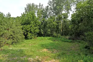 13054 W 300 N, Medaryville, IN 47957 - Photo 18