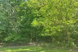 106 W 133rd Ave, Cedar Lake, IN 46303 - Photo 1