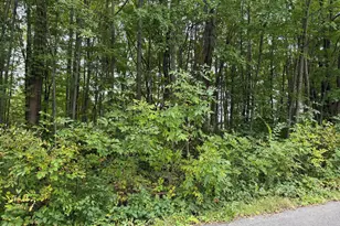 0 U S Hwy 20, Westchester Township, IN 46304 - Photo 1