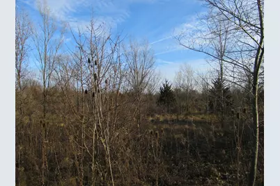 0-Lot 8 Grant Street, Merrillville, IN 46410 - Photo 2