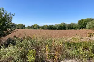 19202 Wicker Ave, Lowell, IN 46356 - Photo 1