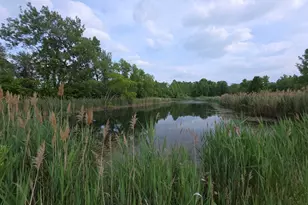 11856 W Snyder Rd, Westville, IN 46391 - Photo 1