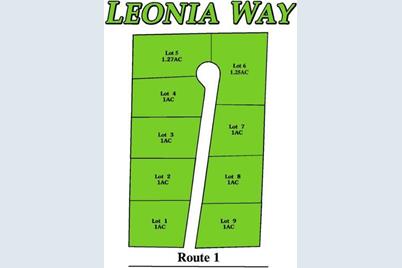 Lot #1 Leonia Road - Photo 1