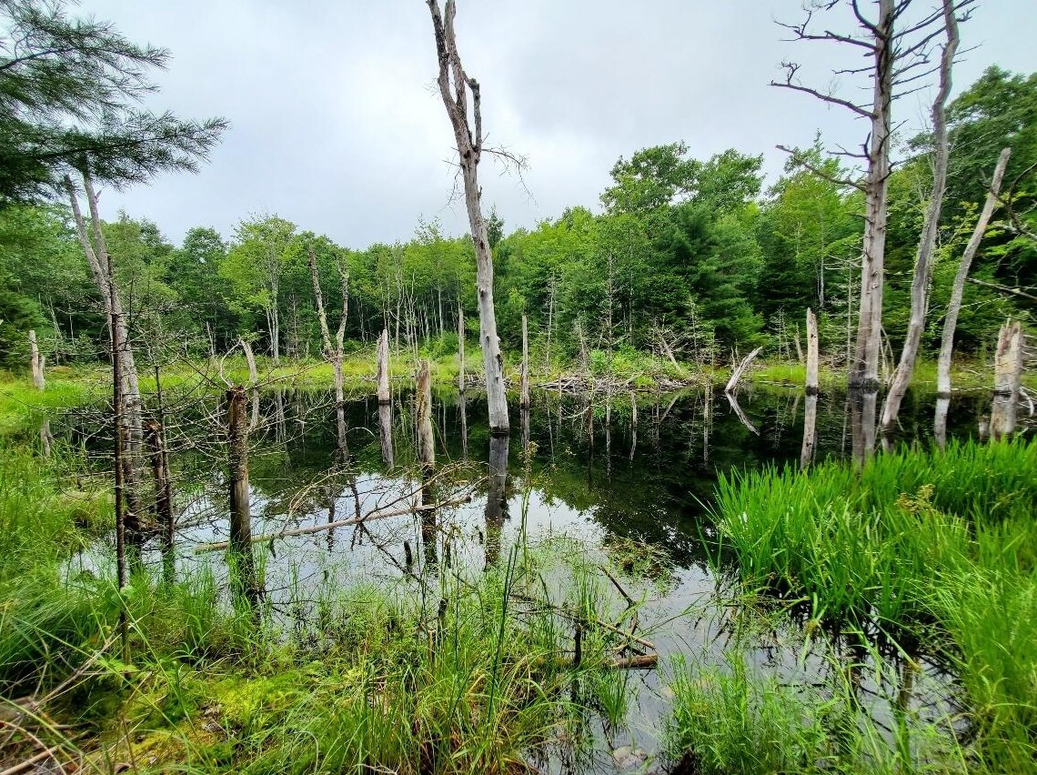 1289 Lane Rd, Beddington, ME 04622