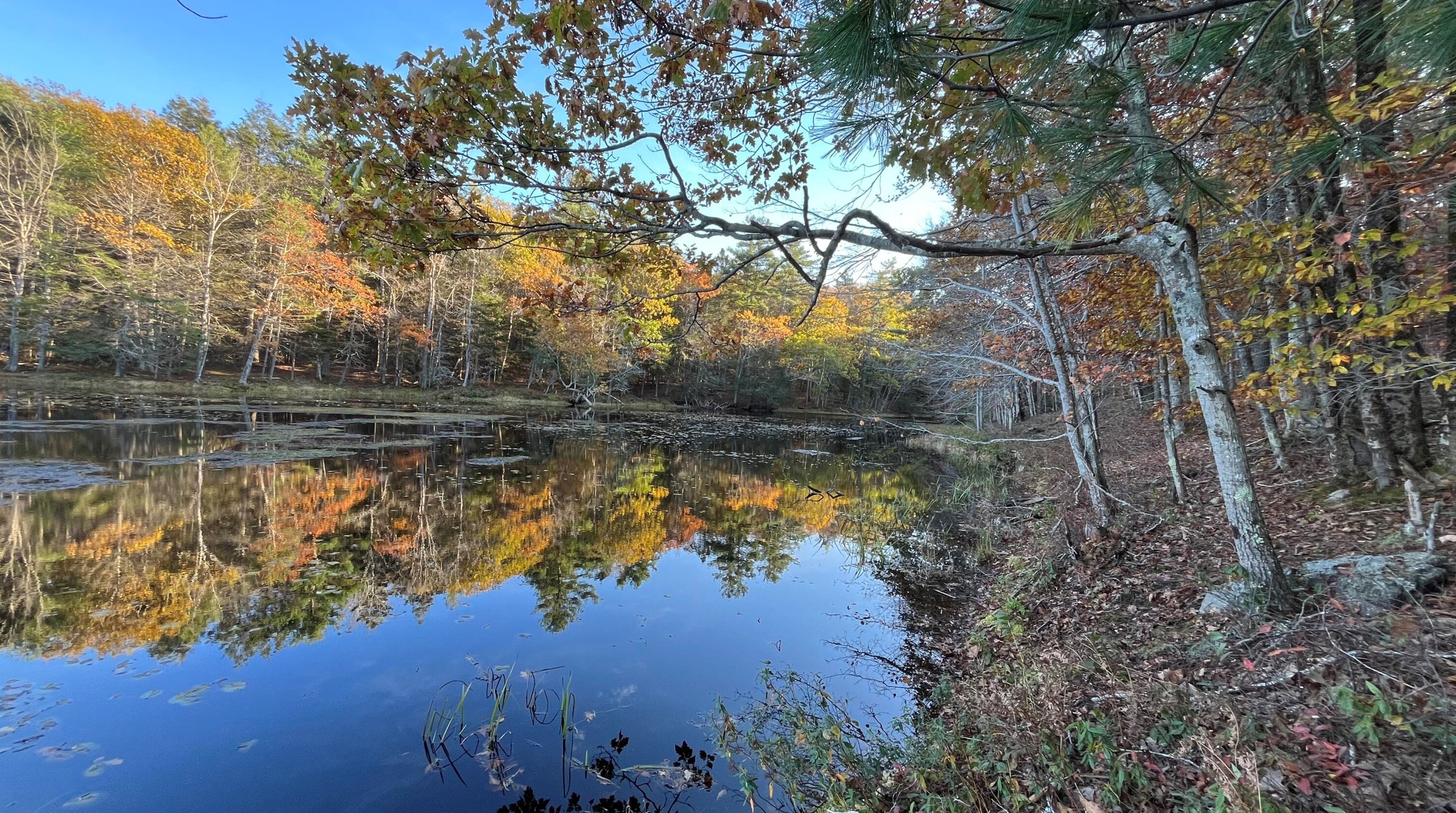 1092 Main Rd, Phippsburg, ME 04562