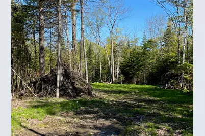 2 Tumbledown Lane, Greenville, ME 04441 - Photo 1