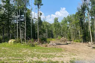 6 Tumbledown Ln, Greenville, ME 04441 - Photo 1