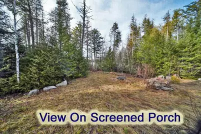 60 Lower Lake Road, Danforth, ME 04424 - Photo 22