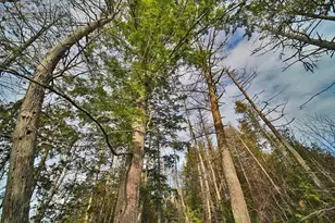 60 Lower Lake Rd, Danforth, ME 04424 - Photo 72