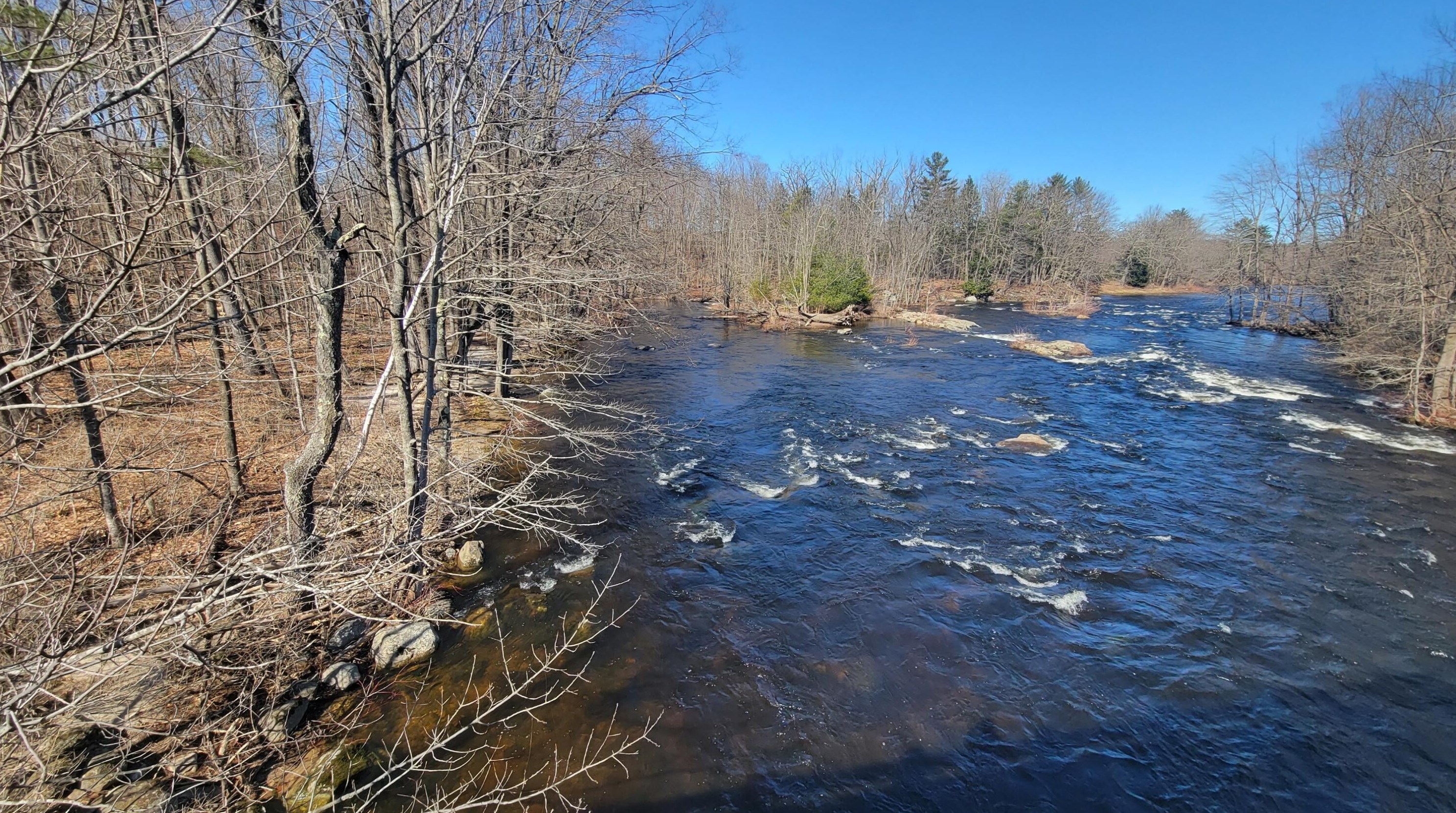 17 Knight Farm Rd, Turner, ME 04282-3744