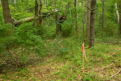 2 Lils Alley, York, ME 03909 - Photo 14