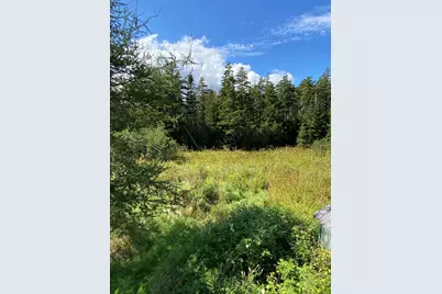 30 Dog Point Rd, Great Cranberry Isle, Cranberry Isles, ME 04625 - Photo 24
