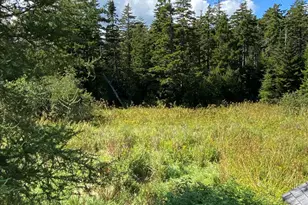 30 Dog Point Rd Great Cranberry Isle, Cranberry Isles, ME 04625 - Photo 24