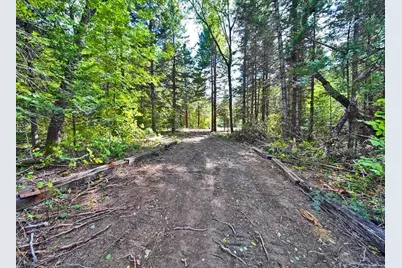 Lot 27 Brewer Road, Cary, ME 04471 - Photo 12