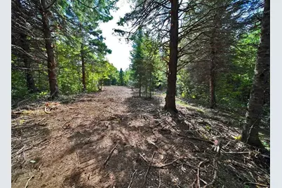 Lot 27 Brewer Road, Cary, ME 04471 - Photo 6