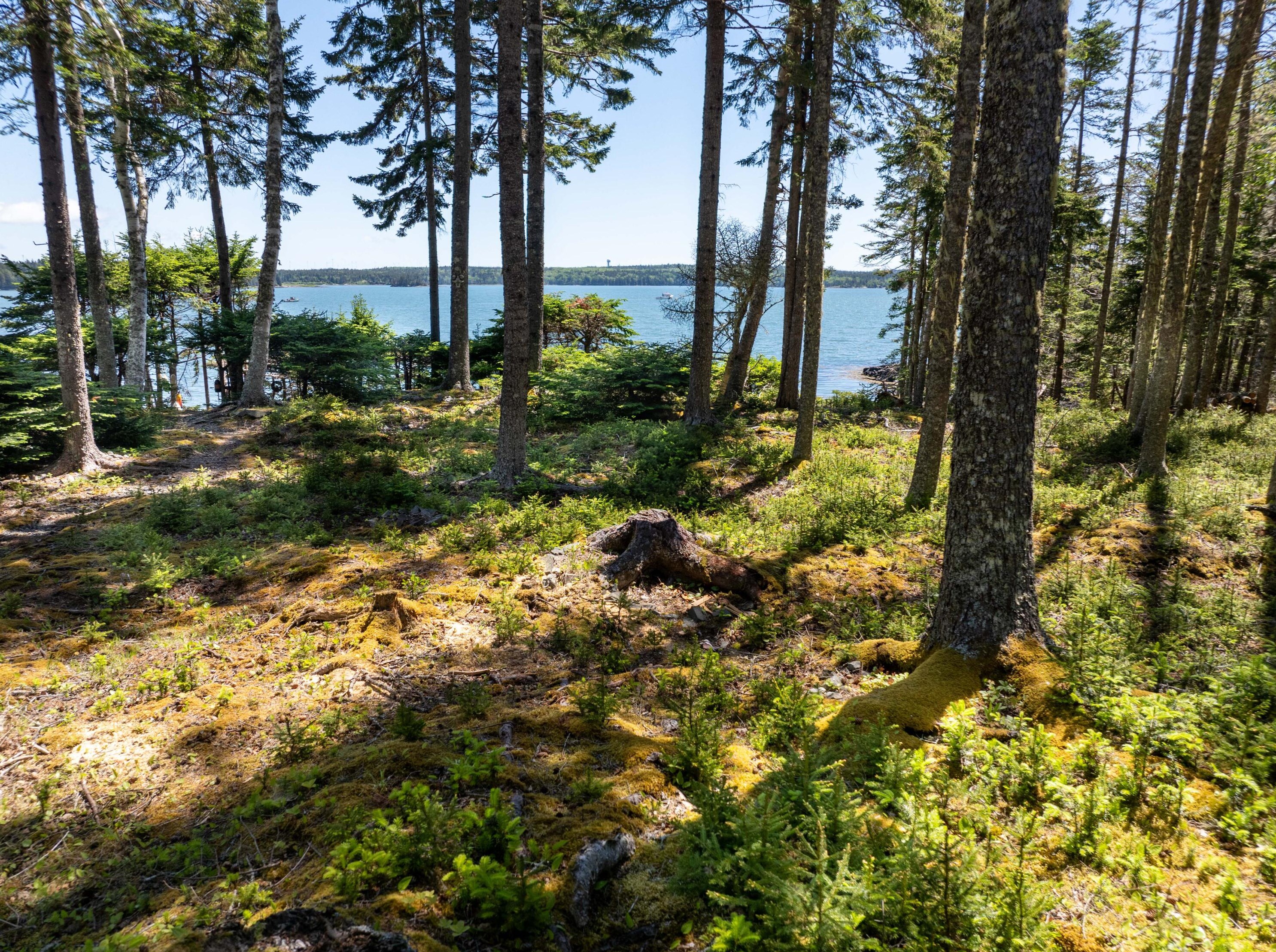 576 Duck Cove Rd, Machias, ME 04654