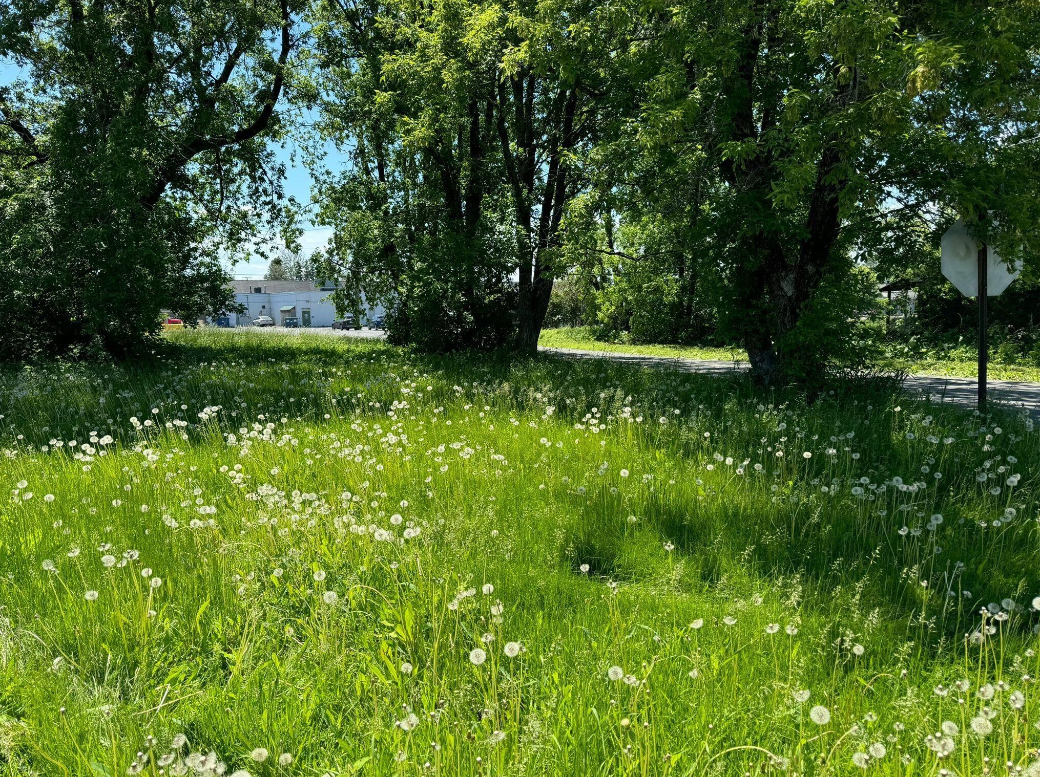 16 Jordan St, Presque Isle, ME 04769