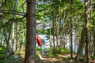 Lts 23A&24 Birch Island, South Bristol, ME 04568 - Photo 62