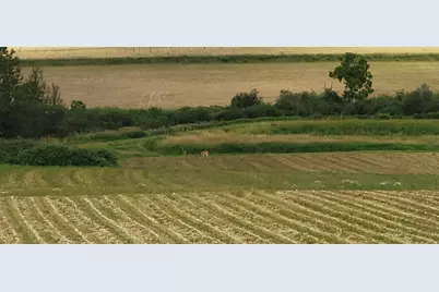 M19-L50 Little Mountain Road, Madawaska, ME 04756 - Photo 14